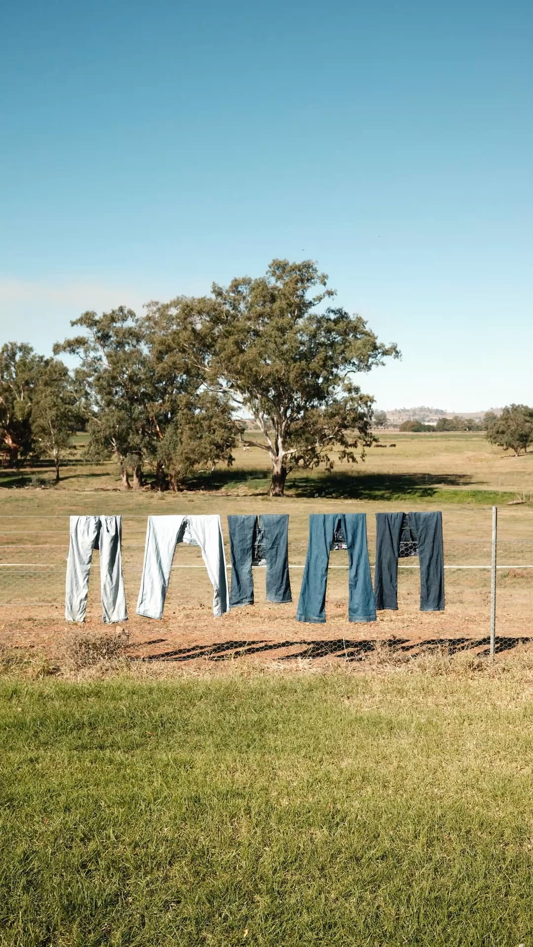 DENIM