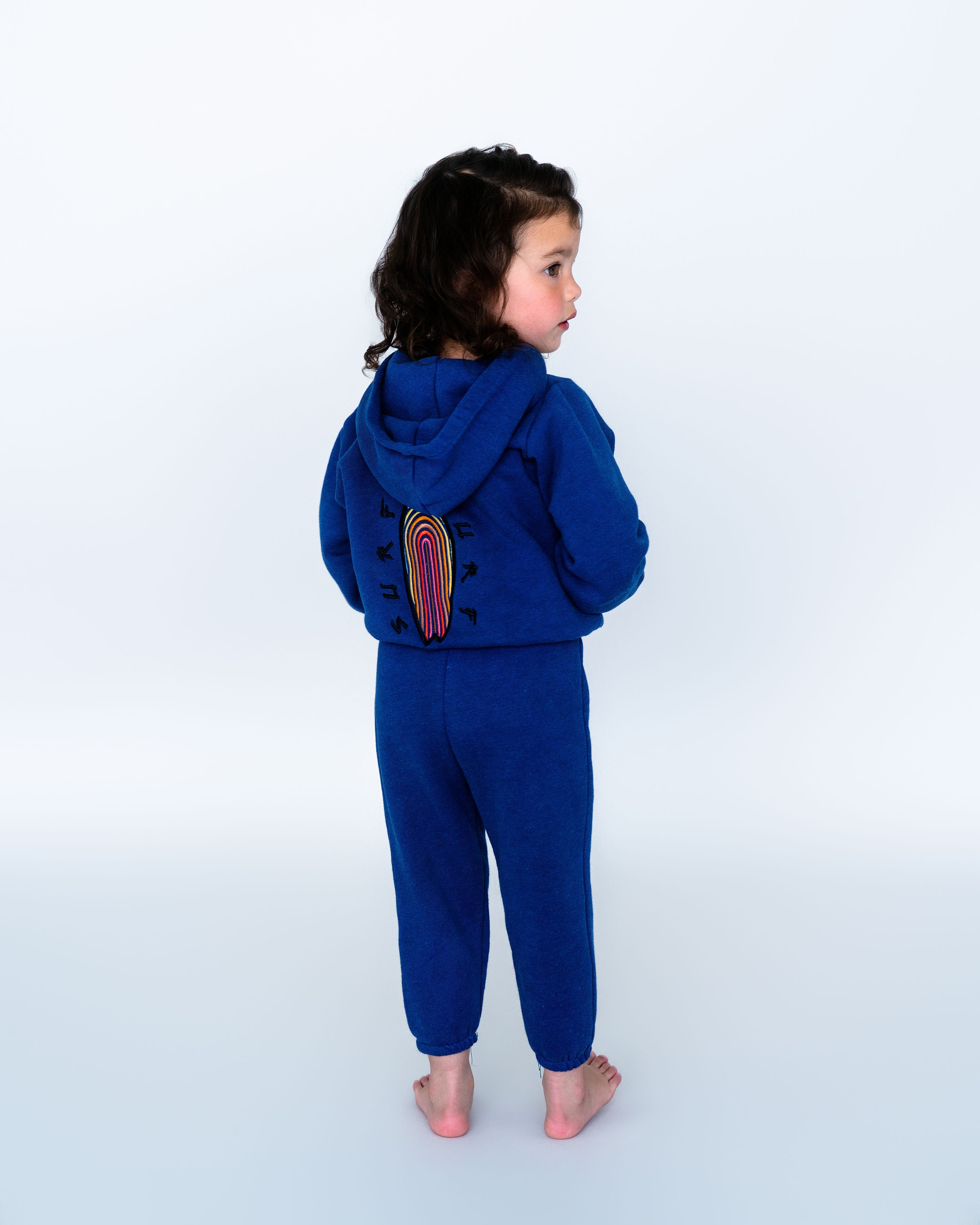 Rainbow Surf Toddler Zip Up Hoodie