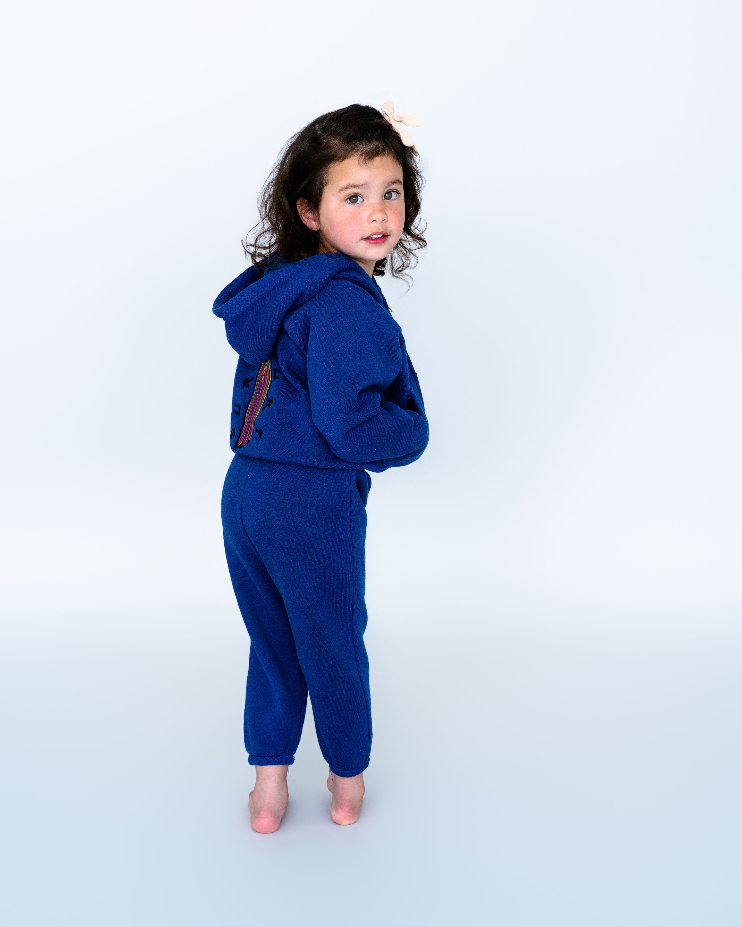 Rainbow Surf Toddler Zip Up Hoodie