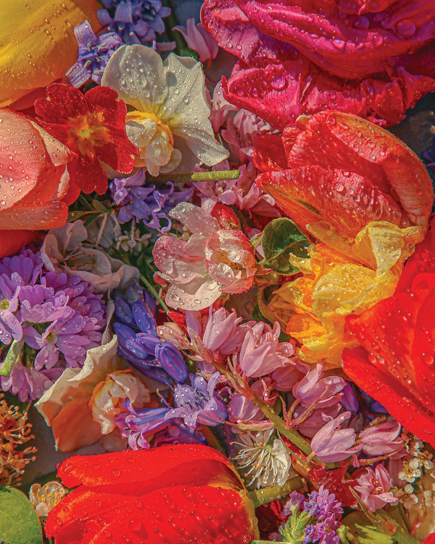 BLOSSOM PUZZLE